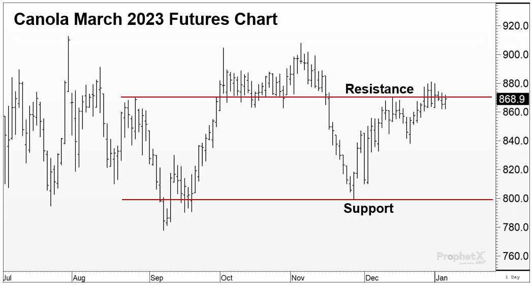 Pricing canola in a volatile market
